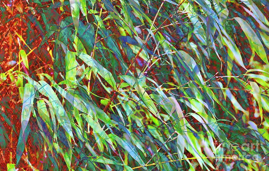 Bamboo Forest Abstract Photograph by Diann Fisher
