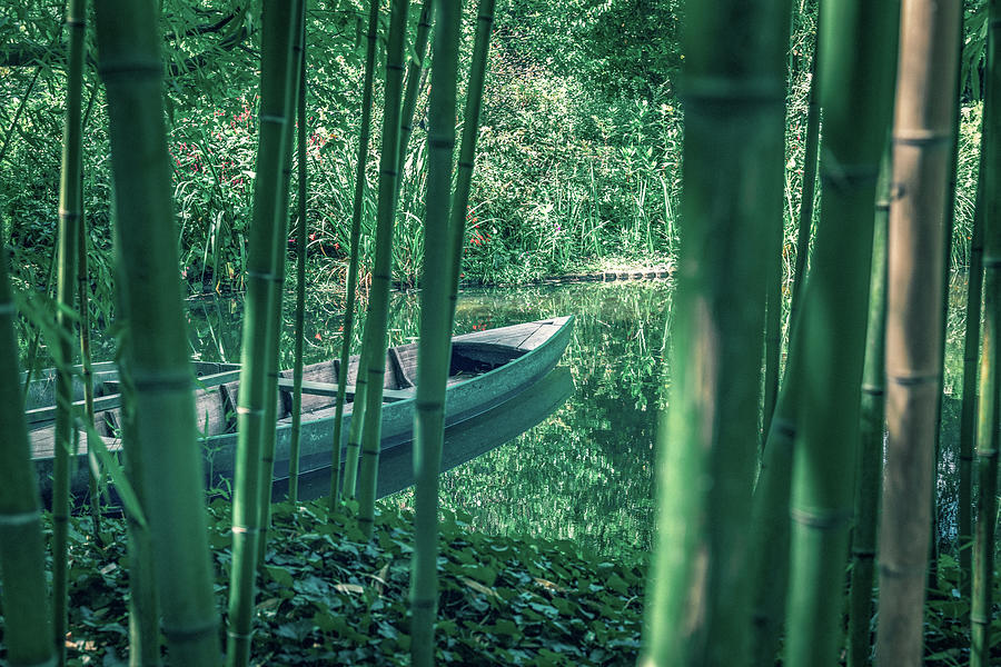 Bamboo forest and Rowboat on a small pond Photograph by Benoit Bruchez