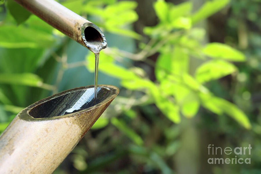 Bamboo fountain in a zen garden, Japan Photograph by Delphimages Photo Creations