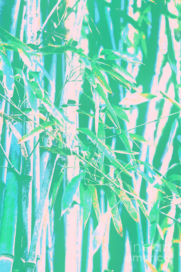 Bamboo Impressions Photograph