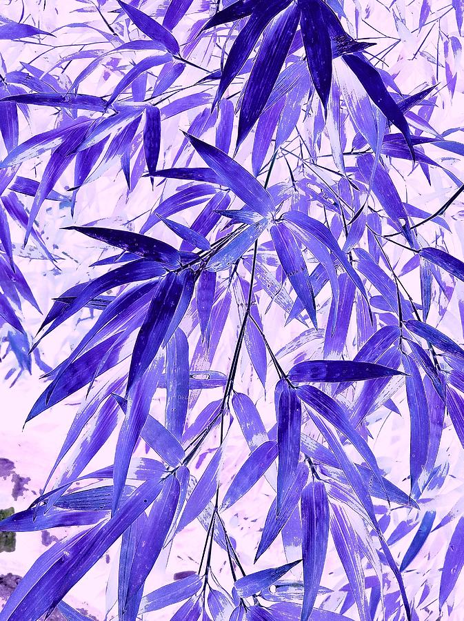 Bamboo Leaves in Lavender Digital Art by Loraine Yaffe