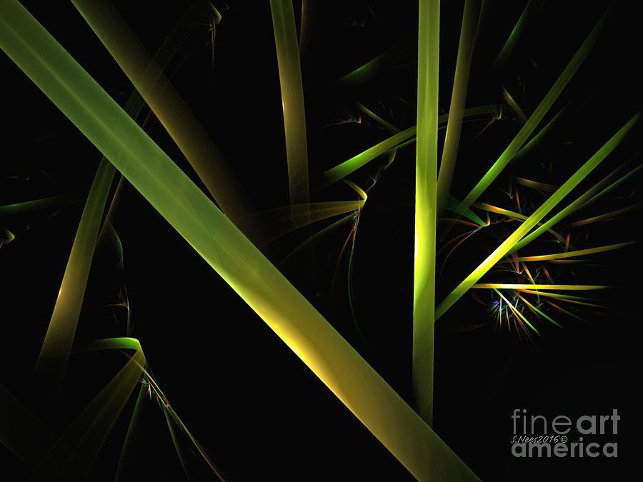 Bamboo Abstract Digital Art by Shari Nees