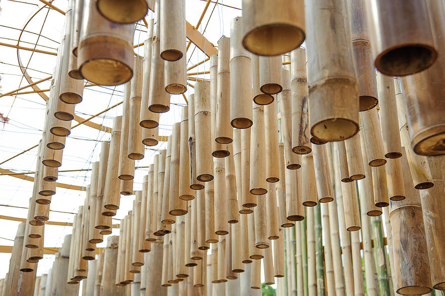 Bamboo Tube Of Art Photograph by S_yord