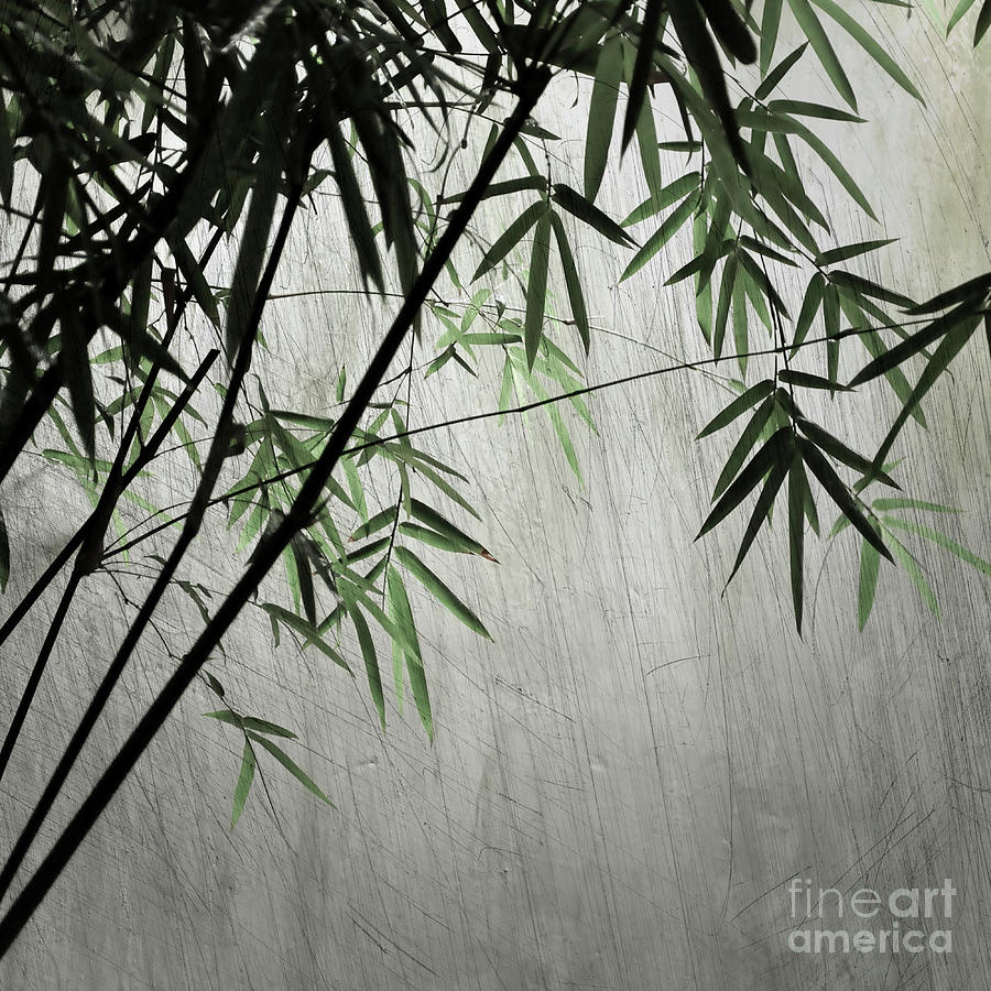 Bamboos in Shanghai Photograph by Delphimages Photo Creations