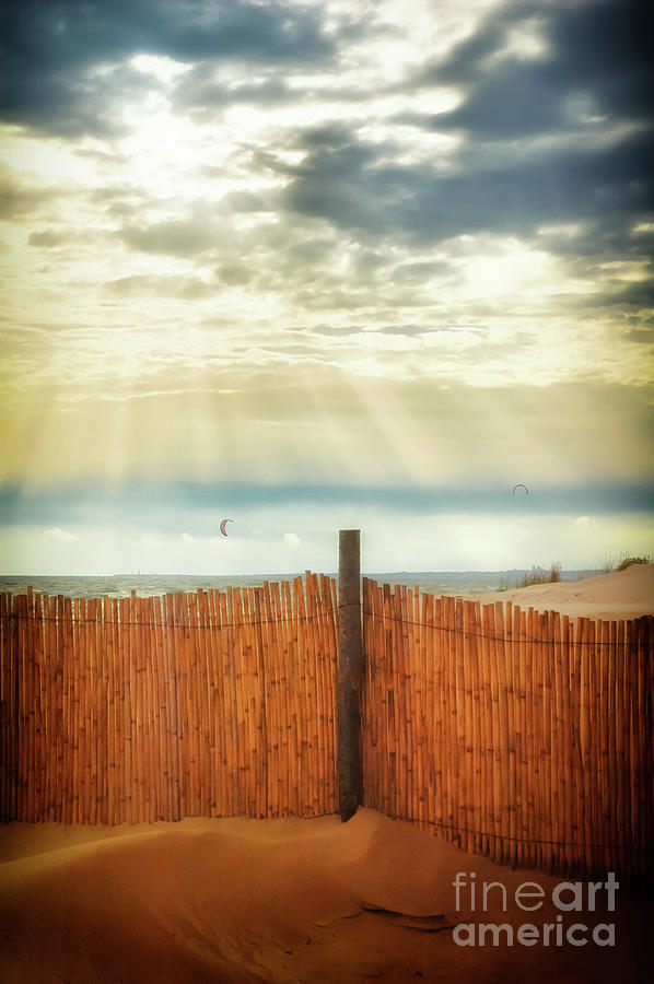 Bambu fence on beach Photograph by Silvia Ganora