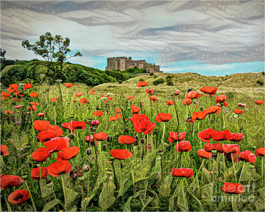 Bamburgh Poppies Digital Art