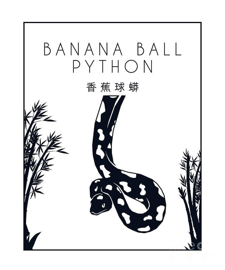 Banana Ball Python Chinese Hanzi Breeder Banana Ball Python Digital Art