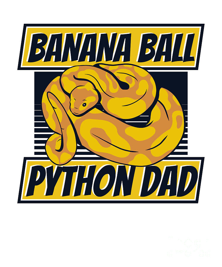 Banana Ball Python Dad Pythonidae Breeder Banana Ball Python Digital ...