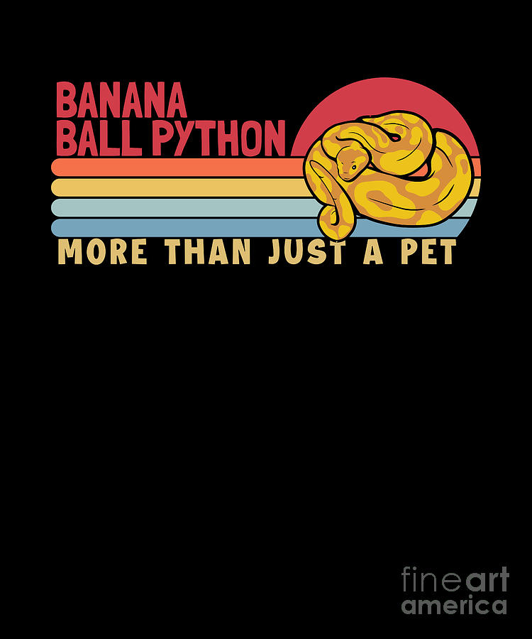 Banana Ball Python more than a Pet Banana Ball Python Digital Art by