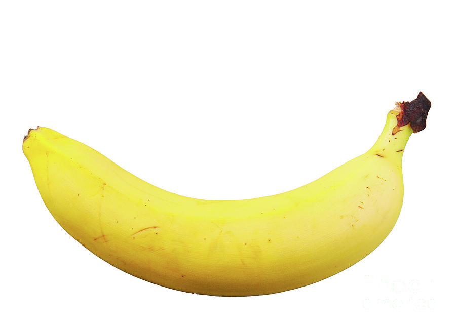 Banana on white background Photograph by Nenov Images - Pixels