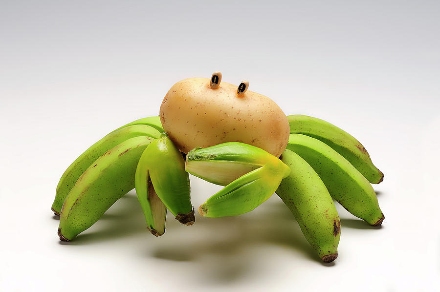 Banana Potato Crab Photograph by Cacio Murilo De Vasconcelos