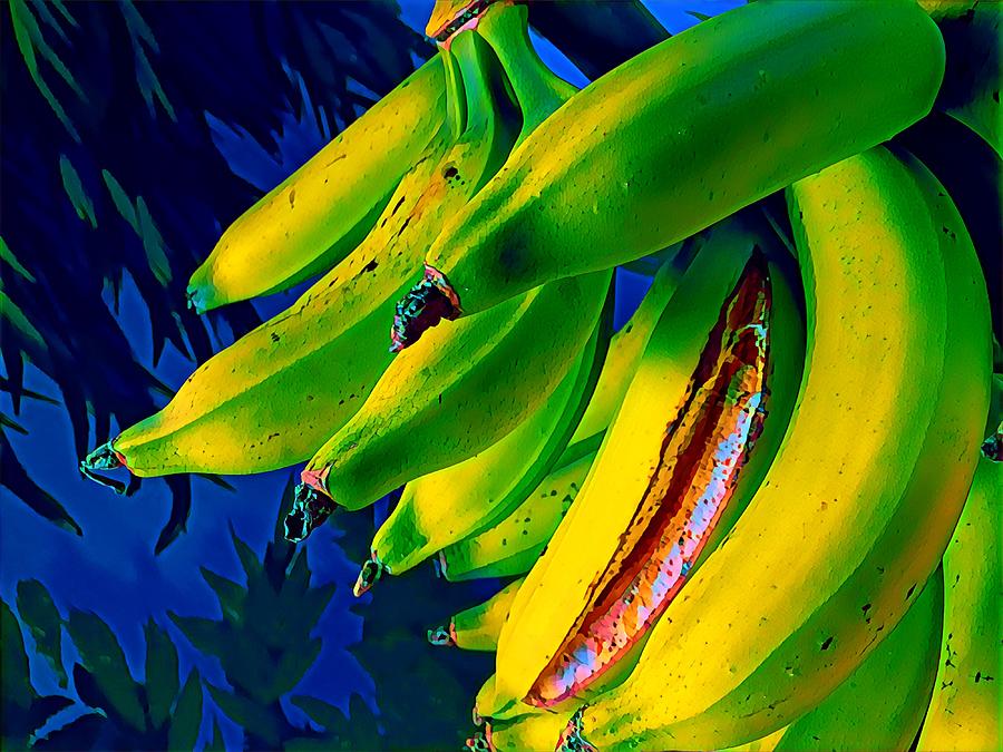 Bananarama Aloha  Photograph by Joalene Young