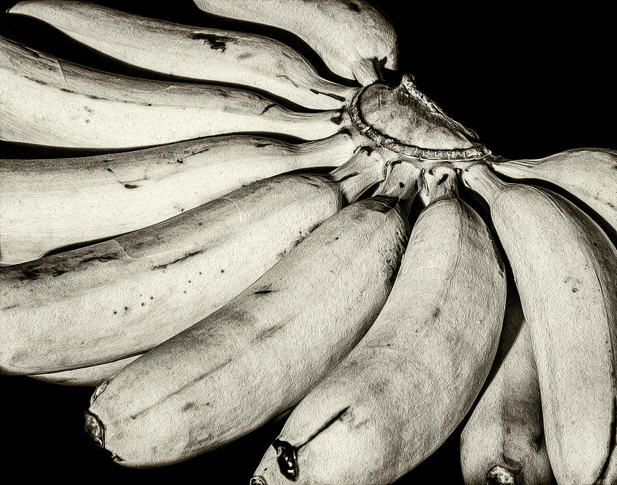Bananas 3 Photograph by Eduardo Viladevall - Fine Art America