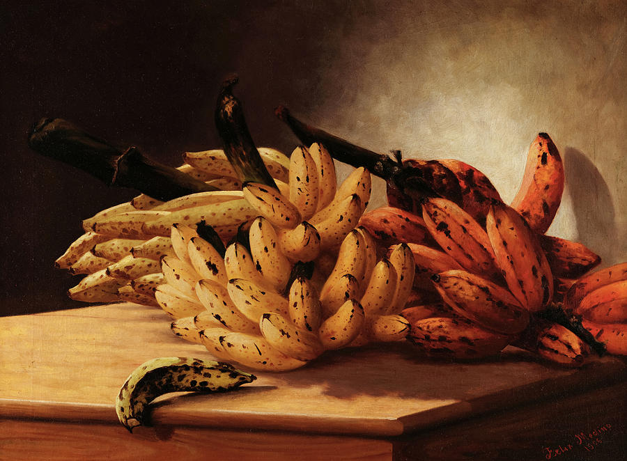 Bananas Painting by Felix Medina Fine Art America