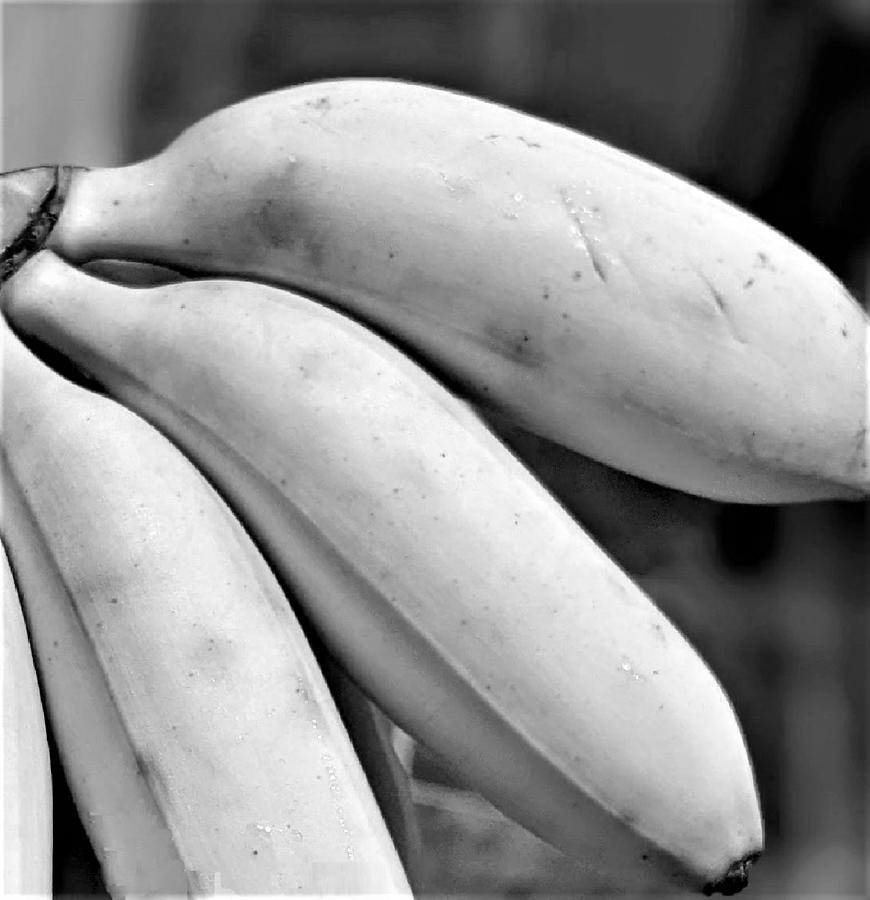 Bananas in Black and White Photograph by Kristin McCoy-Ward - Fine Art ...