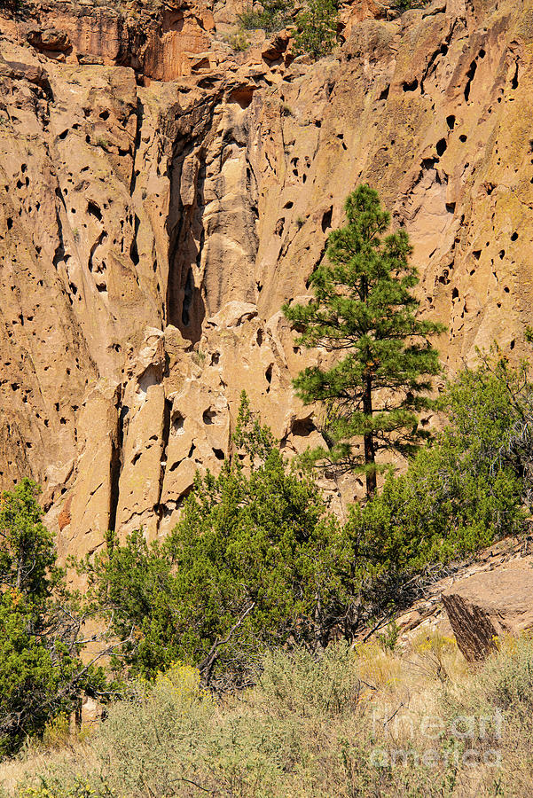 Bandelier National Monument Landscape Three Photograph by Bob Phillips