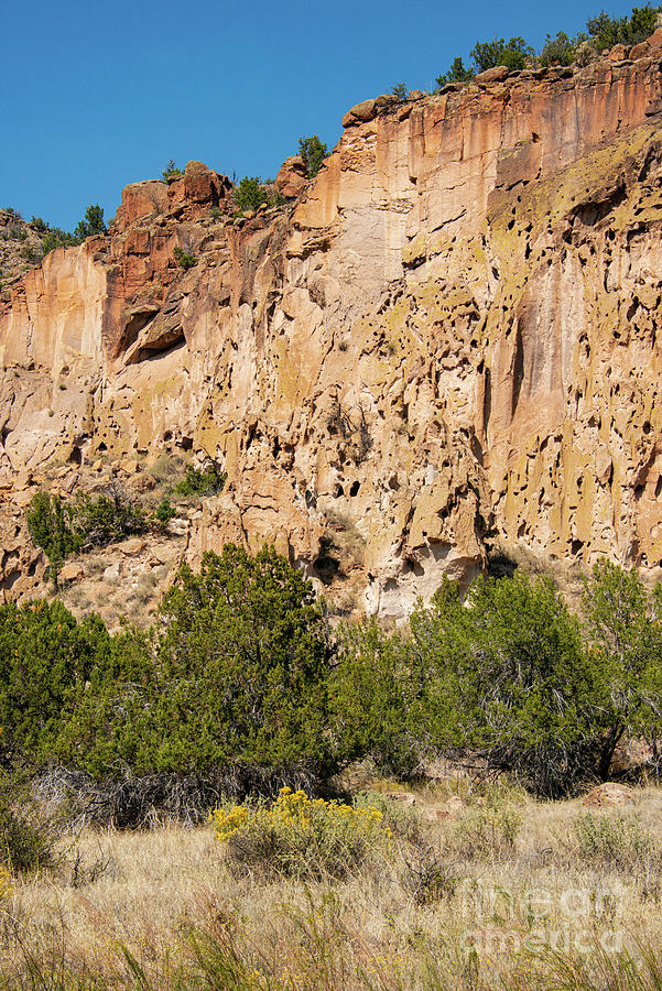 Bandelier National Monument Rock Cliffs Photograph by Bob Phillips