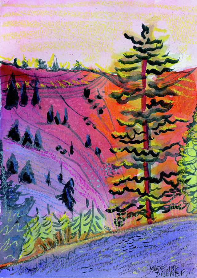 Bandera Cone Fir Tree Painting by Madeline Dillner