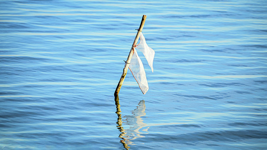 White flag Photograph by Loredana Gallo Migliorini