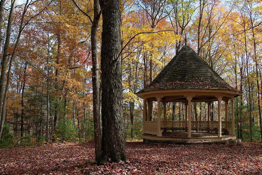 Bandstand and Autumn Leaves Photograph by Cascade Colors