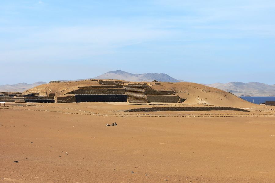 Bandurria Photograph by German Paredes Pixels