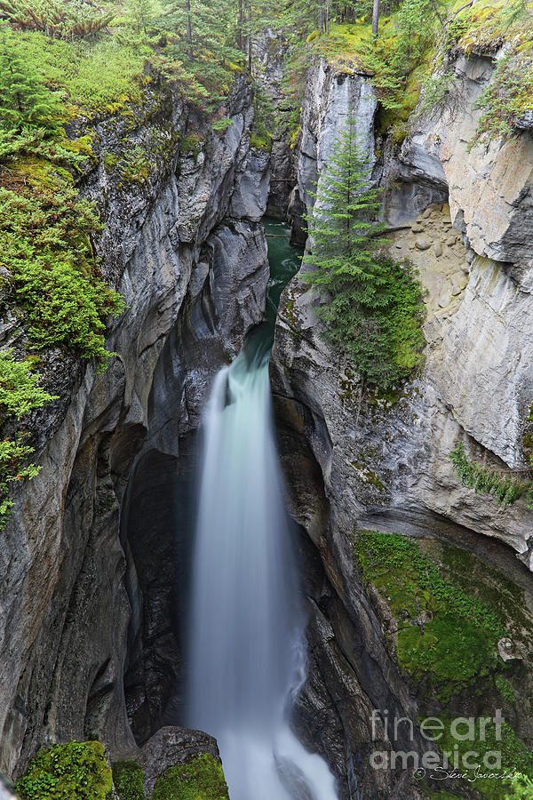 Banff and Jasper National Park Photograph by Steve Javorsky