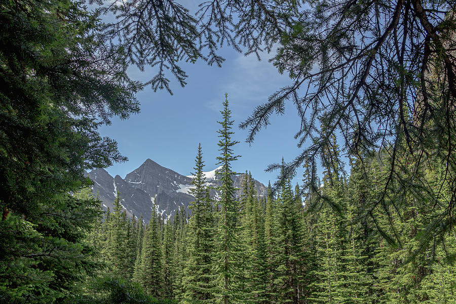 Banff National Park 2 Photograph by Cindy Robinson
