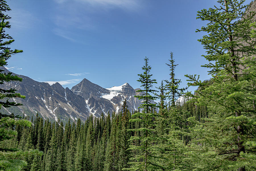 Banff National Park Photograph by Cindy Robinson