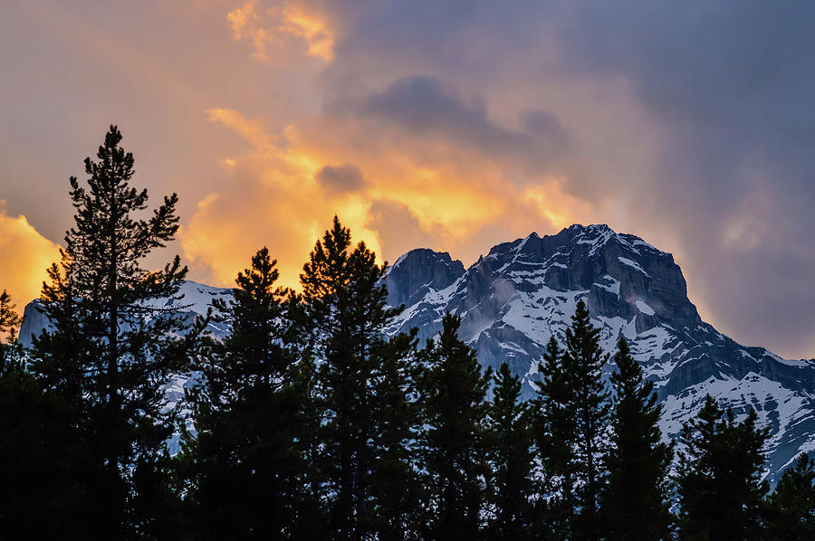 Banff Sunset Photograph by Tracy Munson