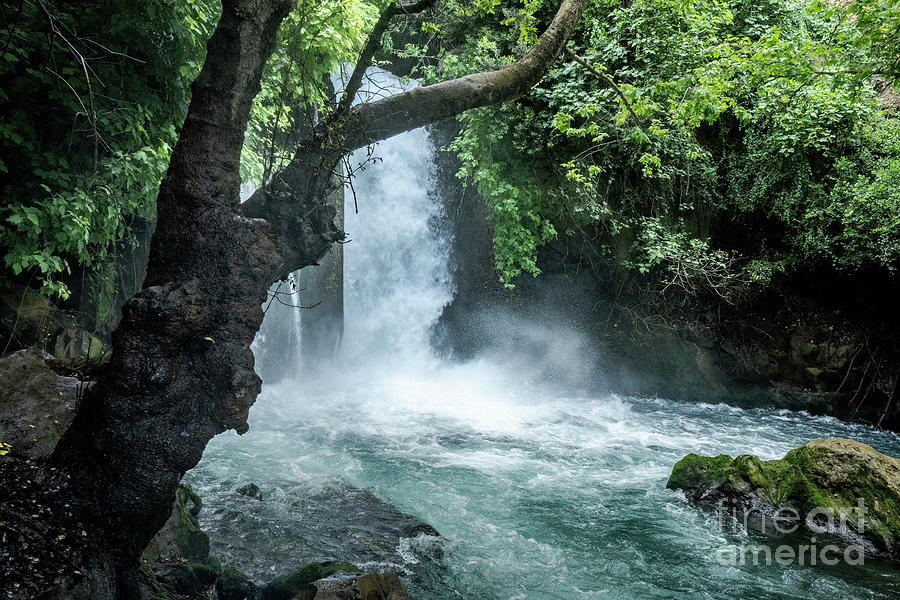 Banias Stream and waterfall w1 Photograph by Eyal Bartov