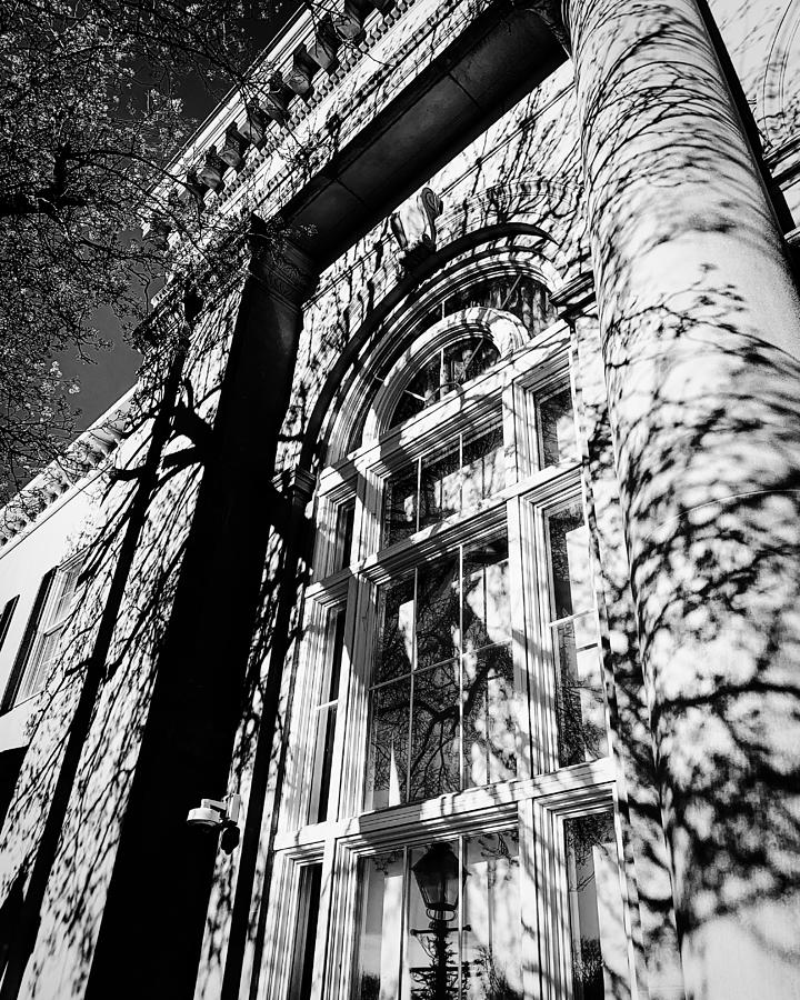 Bank in the Shadows Photograph by Ken Buley-Neumar - Pixels