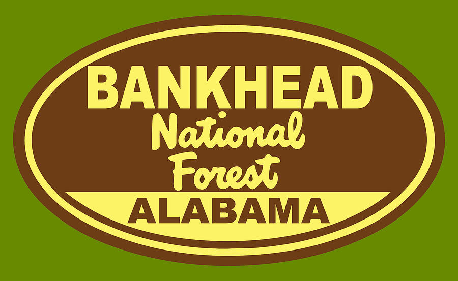 Bankhead National Forest Alabama Photograph by Keith Webber Jr - Pixels