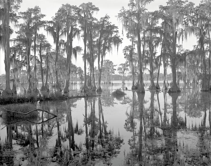 Banks Lake 1 Photograph by Jeffrey Zeitlin - Fine Art America