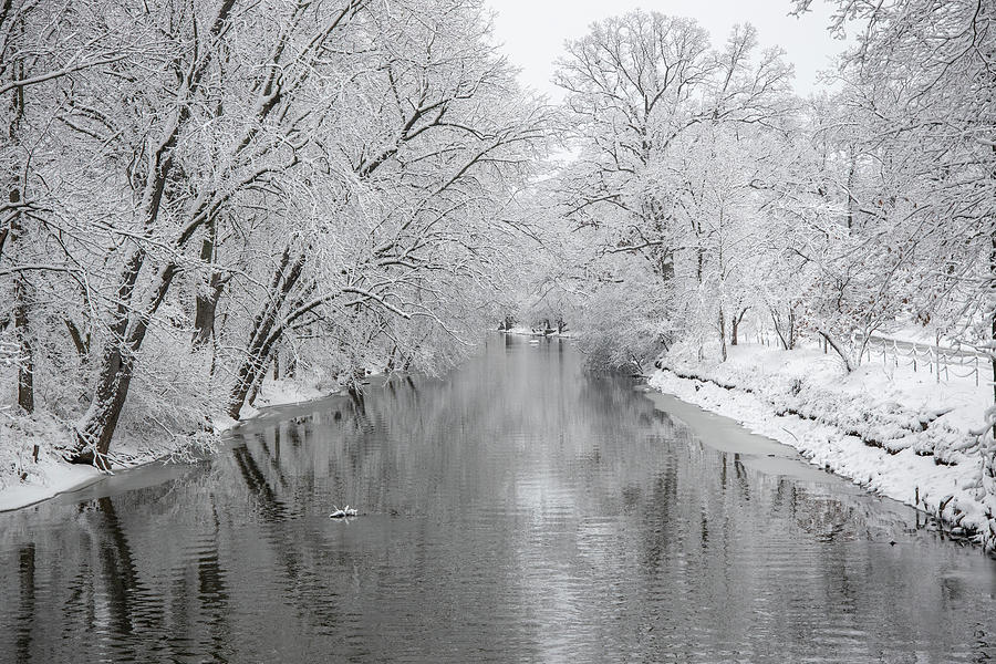 Banks of the Red Cedar Winter 2021 Photograph by John McGraw