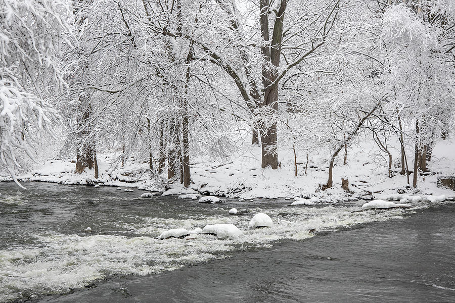 Banks of the Red Cedar winter  Photograph by John McGraw