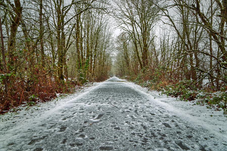 Banks Vernonia Trail Photograph by Loyd Towe Photography