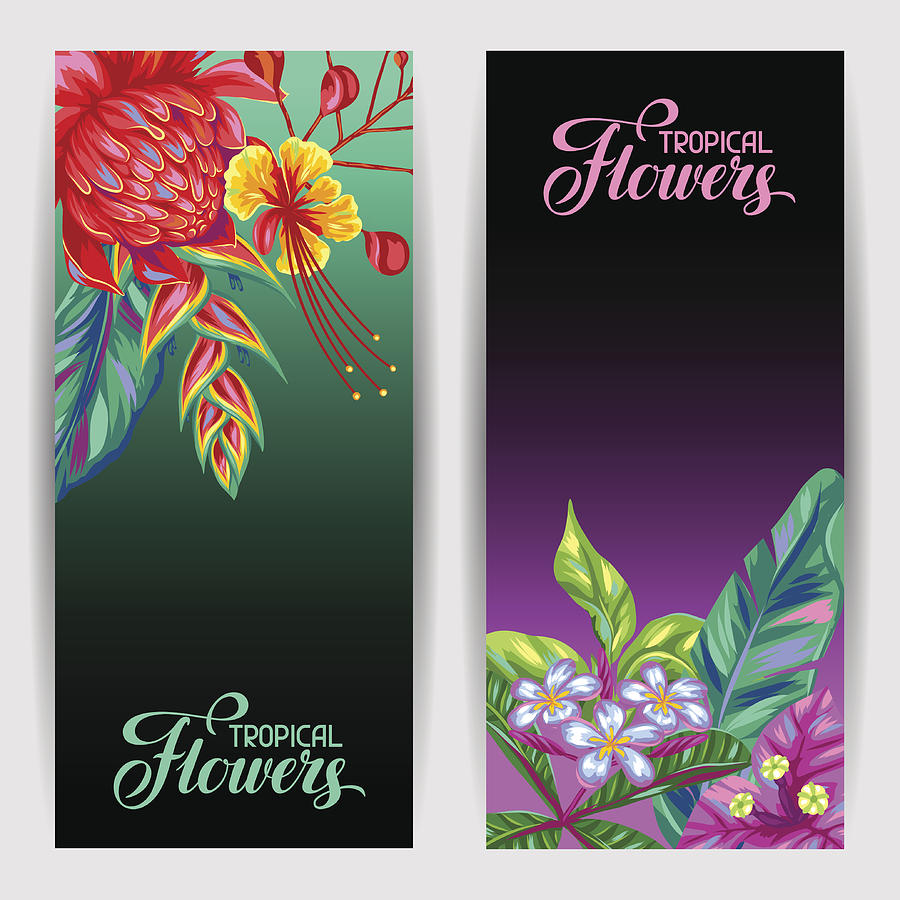 Banners with Thailand flowers. Tropical multicolor plants, leaves and buds Drawing by Incomible