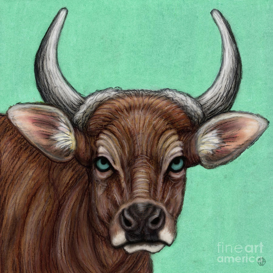 Banteng Bull  Painting by Amy E Fraser