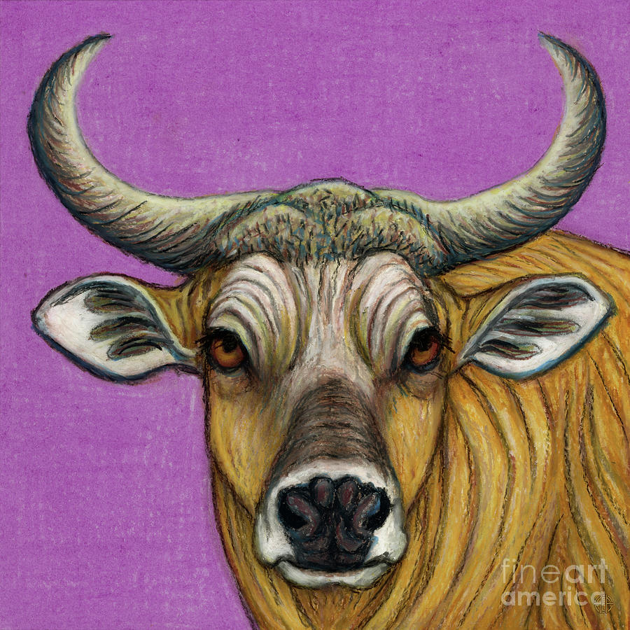 Banteng Cow Painting by Amy E Fraser