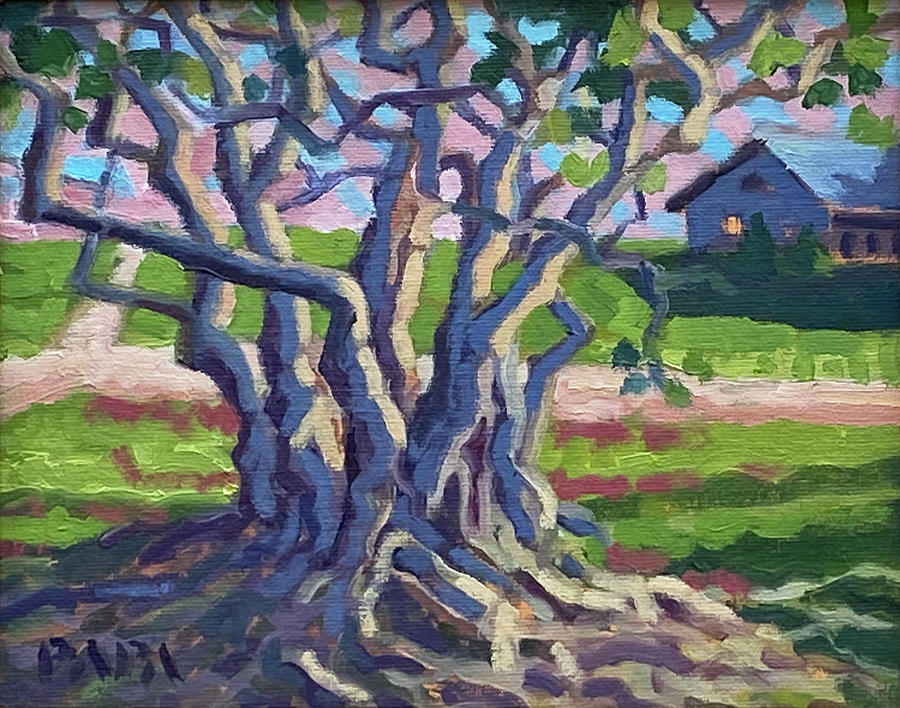 Banyan at Sunshine Meadows Painting by Ralph Papa