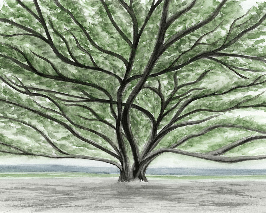 Banyan Tree Lahaina Painting by Rachel Elise