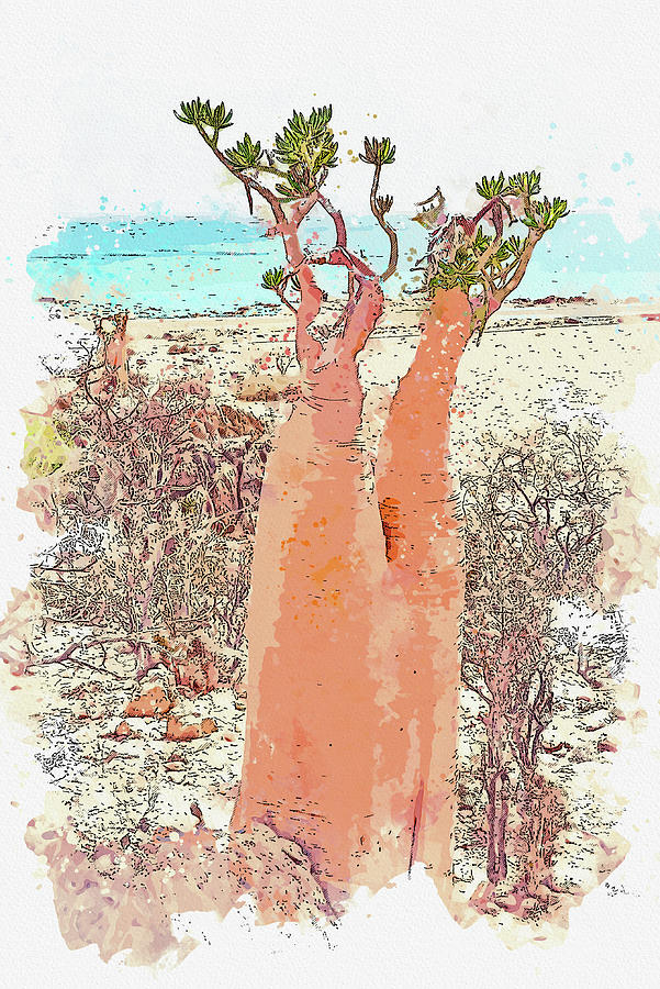 Architecture Painting - Baobab, Adenium obesum Socotra Island, ca 2021 by Ahmet Asar, Asar Studios by Celestial Images