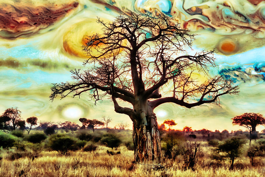 Baobab tree with Jupiter Sky Digital Art by Bruce Block
