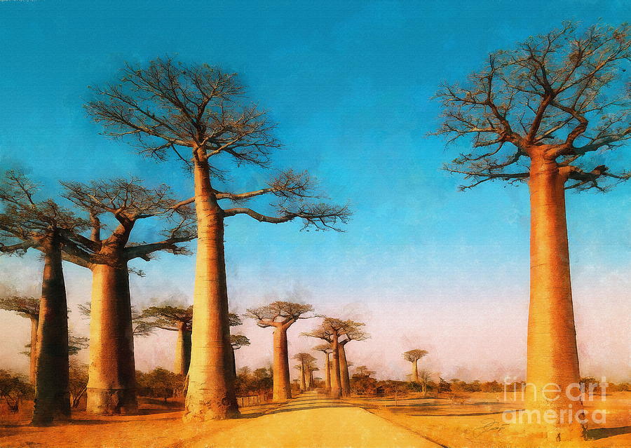 Baobabs Digital Art by Jerzy Czyz
