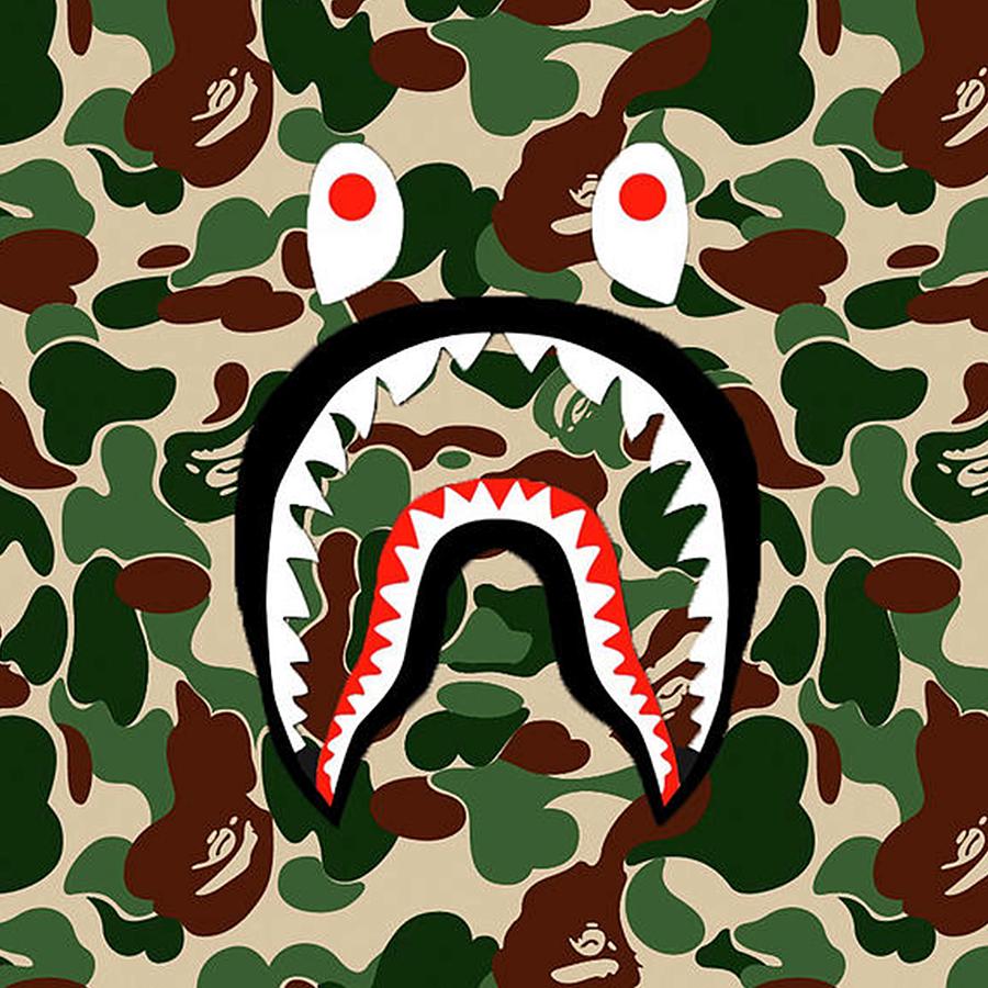 Bape Camo Painting by Joelle Kuphal - Fine Art America