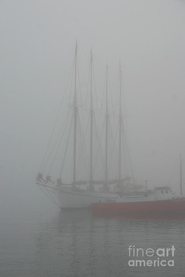 Bar Harbor fog Photograph by Ed Stokes