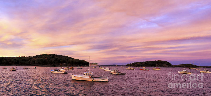 Bar Harbor Sunset, Maine Photograph by Felix Lai