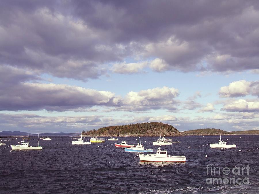 Bar Harbor Photograph by Terri Griffin | Fine Art America