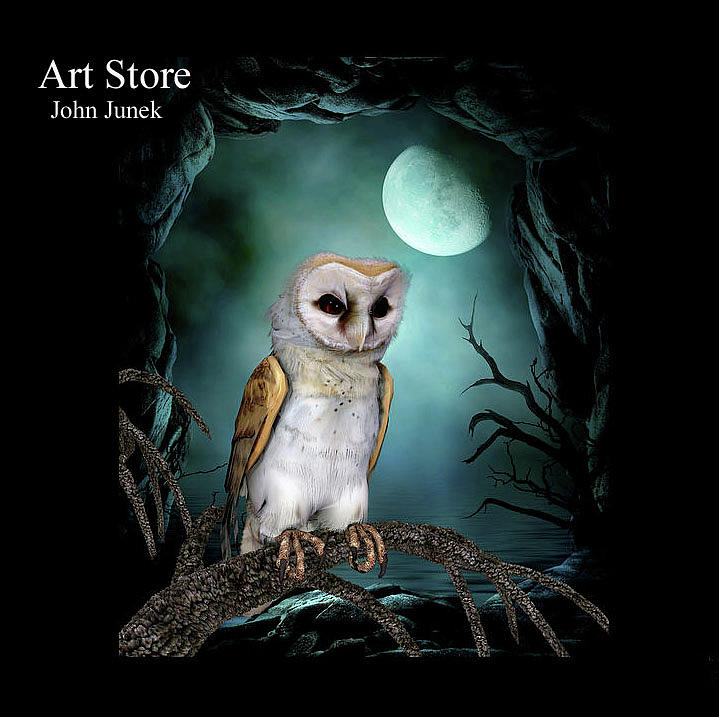 Barb Owl Digital Art by John Junek