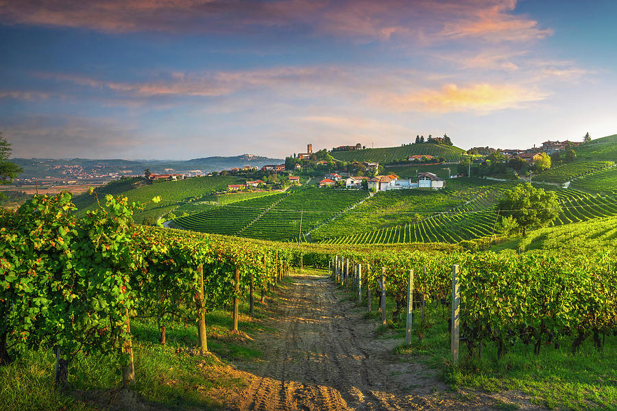 Barbaresco village and Langhe vineyards, Piedmont, Italy Photograph by Stefano Orazzini